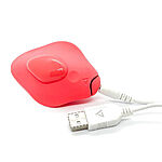 Clandestine Devices - Companion