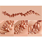 Naked Factory - Kate seksinukketorso