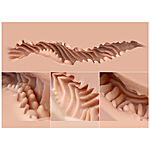 Naked Factory - Kate seksinukketorso