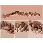 Naked Factory - Nicole seksinukketorso