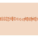 Fleshlight Girls Bonnie Blue K1 - Tekovagina