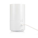 IMTOY - Candy, Personal trainer