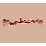 Naked Factory - Barbie seksinukketorso