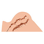 Naked Factory - Hannah seksinukketorso