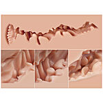 Naked Factory - Trisha seksinukketorso