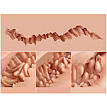 Naked Factory - Trisha seksinukketorso