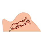 Naked Factory - Trisha seksinukketorso