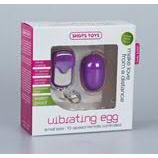 Small Vibrating Egg Remote, Purple