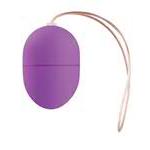 Small Vibrating Egg Remote, Purple